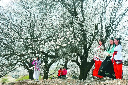 天天斗牛免费下载 - 斗牛棋牌真人对战